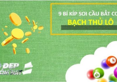 Bạch thủ lô Miền Bắc là gì? Cách soi cầu bắt con lô bạch thủ duy nhất